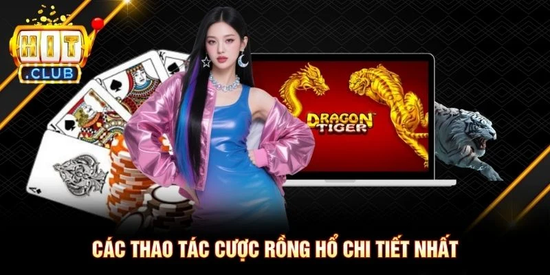 Các thao tác cược Rồng Hổ chi tiết nhất